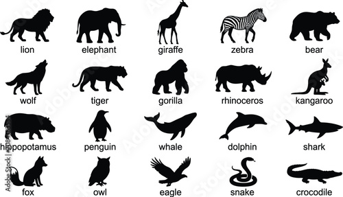 Photography Wild Animals Silhouette Vector Set with Names Featuring Lion Elephant Giraffe Ze