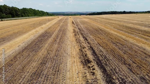 Aerial View of Harvested Wheat Field with Tree Lines