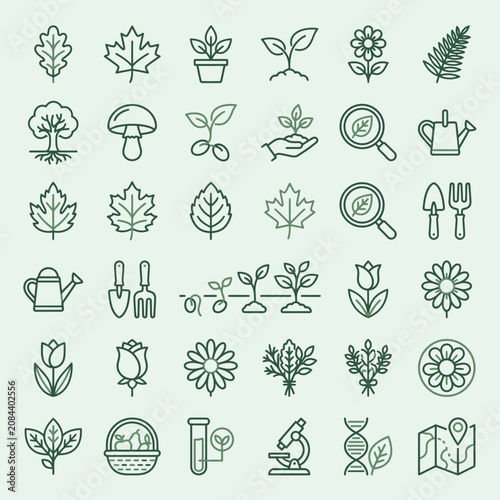 Green line icons representing botany, gardening and nature