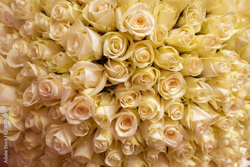 Large bouquet of yellow roses