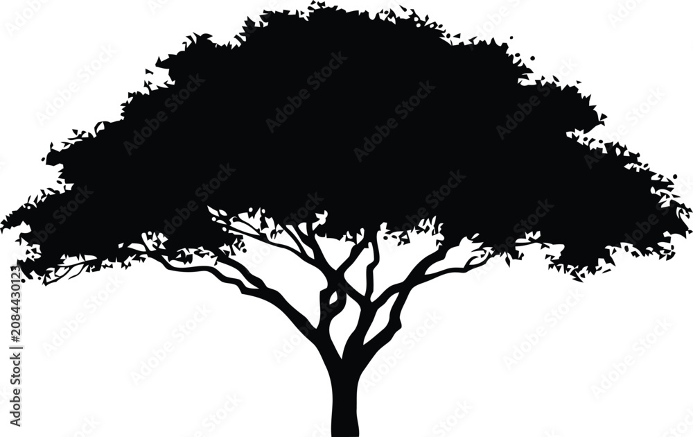 Fototapeta premium Black silhouette of a tree with detailed leaves against 