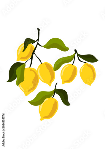 Lemon Branch Abstract Wall Art Poster
