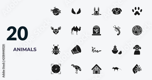 Obraz na płótnie filled animals icons set - blowfish, wing, bunny, coati
