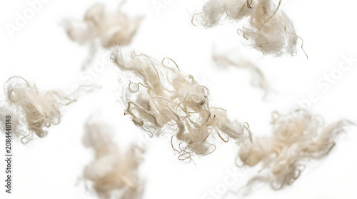Soft raw wool fibers scattered