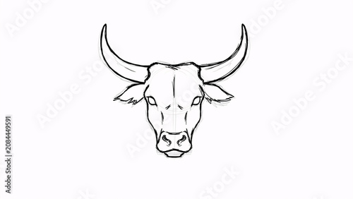 Minimal Bull Head Line Art Illustration Isolated on White Background