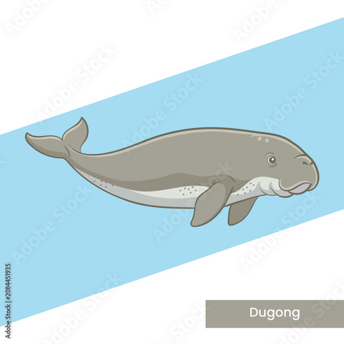 A detailed vector illustration of a gentle dugong swimming. Ideal for marine life education, environmental awareness, and ocean-themed graphic design projects.