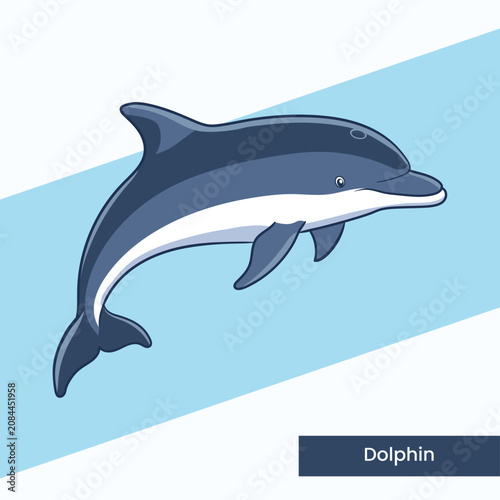High-quality vector illustration of a playful dolphin. Perfect for aquatic wildlife posters, children's educational materials, and marine conservation themes.