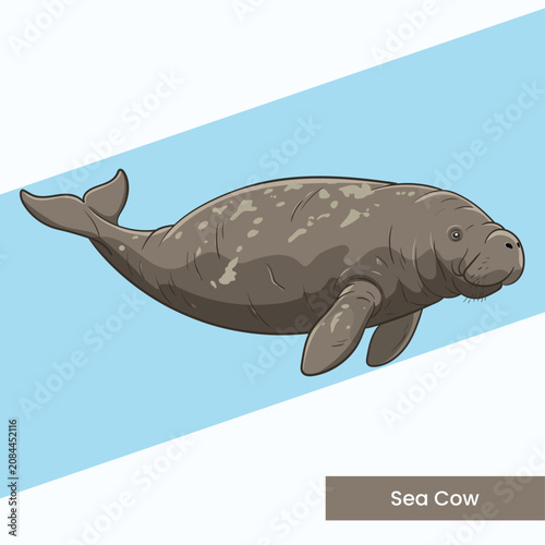 Sea Cow Manatee Vector Illustration - Gentle Marine Mammal Cartoon Character Art