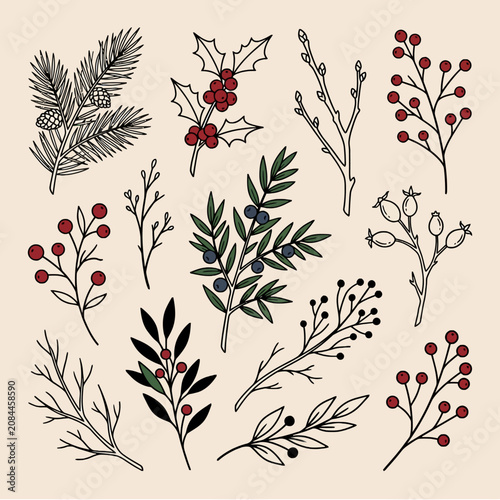 Vintage hand-drawn winter botanical branches and berries