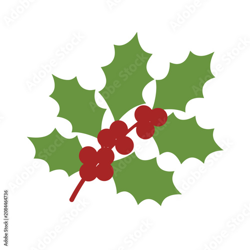 Simple illustration of a green holly branch with red berries