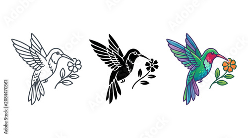 Stylized Hummingbird Icon Collection in Line Art, Solid Black, and Color Vector Styles Isolated on White Background