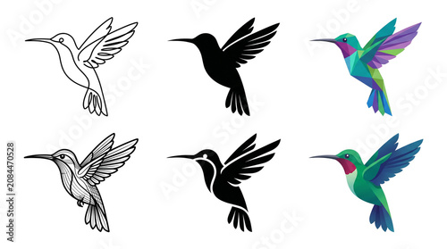 Decorative Hummingbird Icon Set with Line Art, Solid Silhouette, and Full Color Vector Designs Isolated on White Background