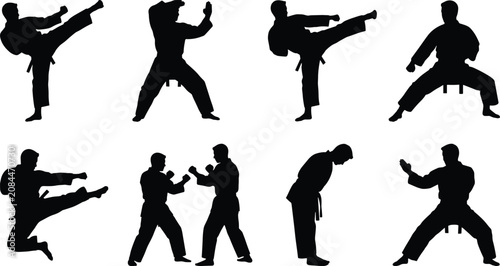Fotografie Black silhouettes of martial artists performing kicks, stances, defensive positi