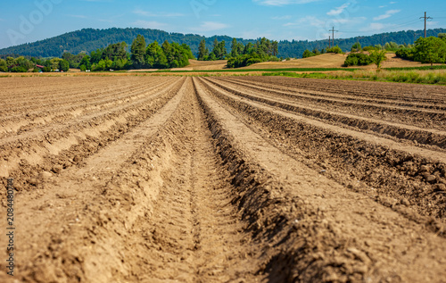 Canvastavla Plowed agricultural field with parallel soil ridges and furrows prepared for pla