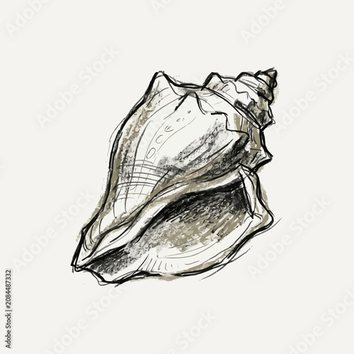 Canvastavla A detailed hand-drawn sketch of a vintage conch seashell
