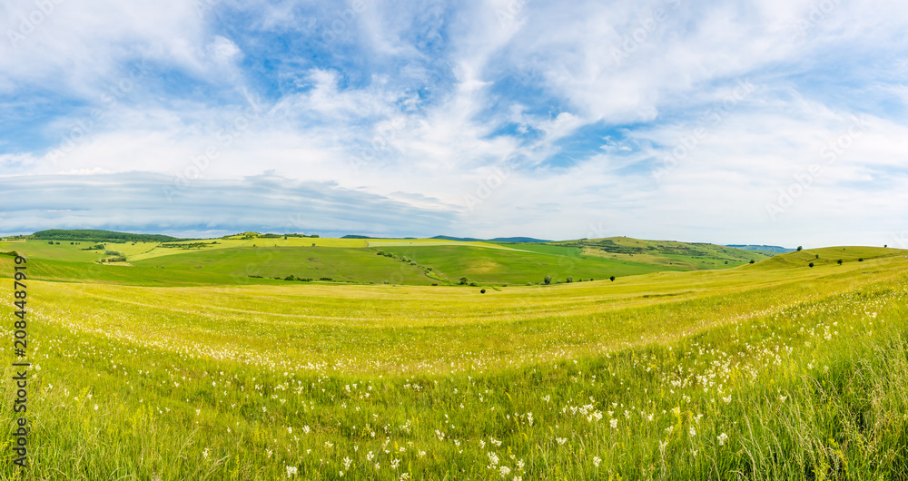 Fototapeta premium Green Summer Meadow and Rolling Hills in Rural Transylvania