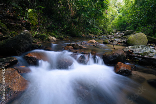 Beautiful wild mountain creek with silky smooth water flowing through a green jungle