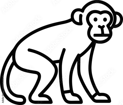 Photography Stylized outline illustration of a monkey sitting, simple black and white line a