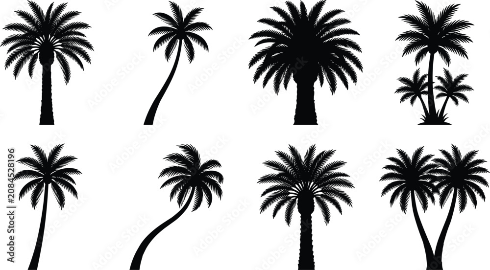 Fototapeta premium Palm Tree Silhouette Collection Featuring Tropical Coconut Palm Vector Set for Landscape and Summer Design