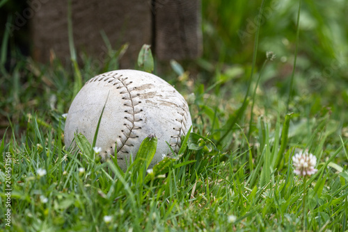 Worn baseball resting in lush green grass with small white flowers