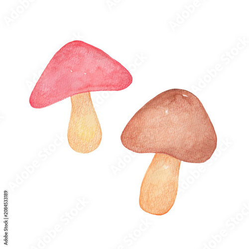 水彩で描いたきのこのイラスト
