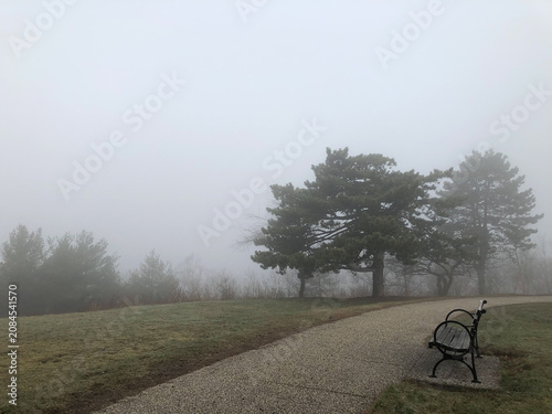 Canvas Print Park bench in dense fog