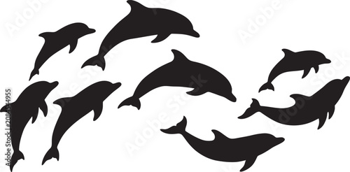 Photography Black and White Shark and Dolphin Silhouette Vector Set Collection of Ocean Wild