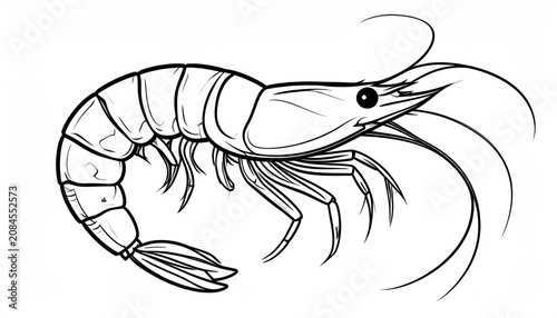 Minimalist shrimp sketch in black and white line art.