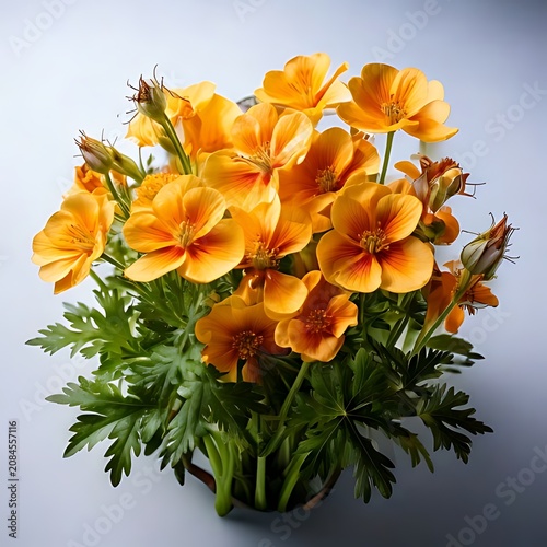 Vibrant orange flowers with green leaves