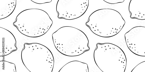 Bild auf Leinwand Whole lemon whimsical hand drawn doodle botanical seamless pattern