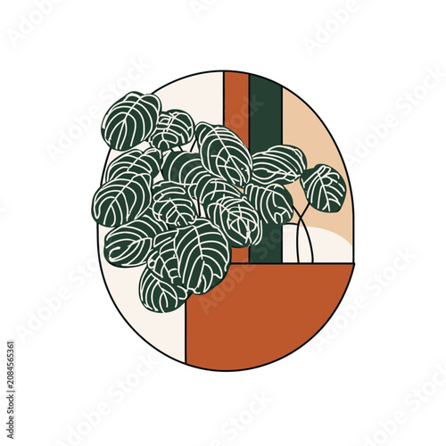 Stylized illustration of a plant with green leaves in a circular frame with geometric shapes