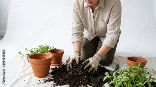 Gardener wearing gloves planting seedlings in terracotta pots with soil