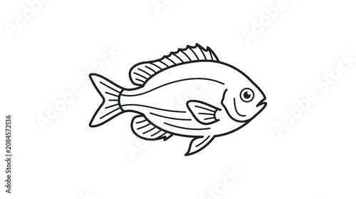 Simple outline drawing of a fish on a white background, minimalist illustration