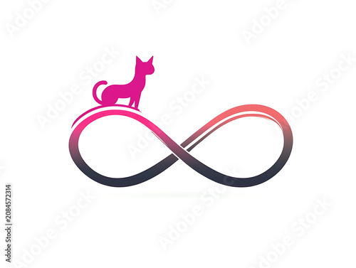 Cute Cat Character Illustration