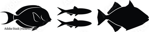 Fotografía Set of black tropical fish silhouettes including tang and triggerfish varieties