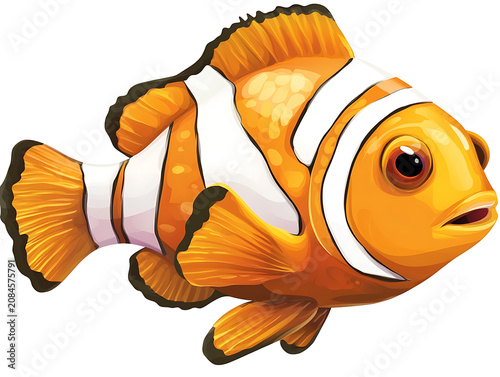 Colorful Fish Illustration Isolated on White Background