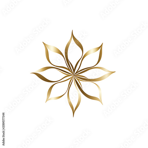 Decorative floral arrangement with blooming flowers and natural foliage