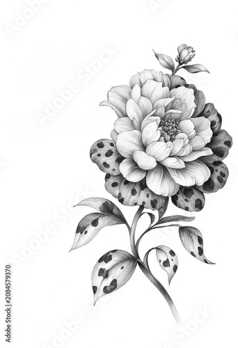 Detailed Black and White Floral Illustration with Polka-Dotted Leaves