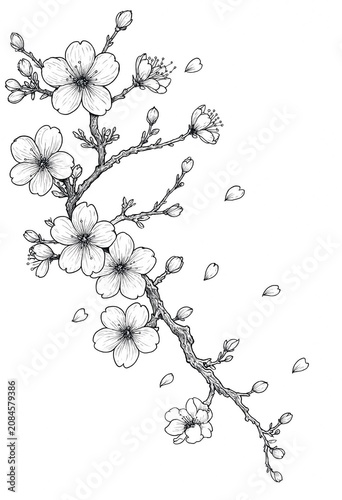 Blossoming Branch with Falling Petals