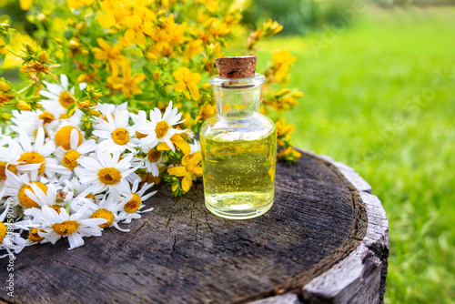 Herbal essential oil bottles with chamomile and St. John's wort flowers on stump