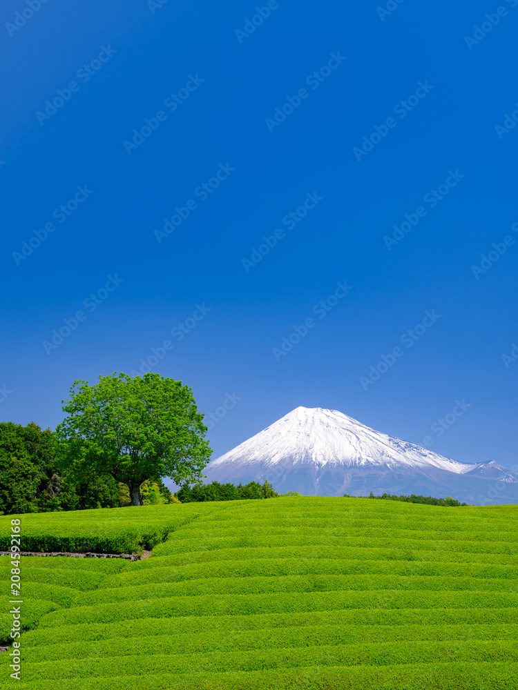 Naklejka premium 静岡_富士山と茶畑の絶景風景