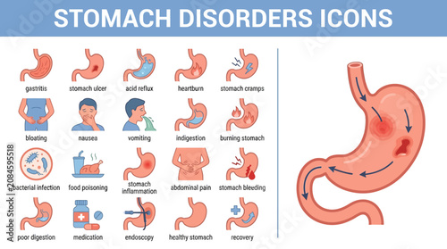 Stomach Anatomy Illustrated Icons Set for Medical Education.