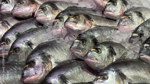 Fresh Whole Fish Displayed On Crushed Ice At Seafood Market Counter
