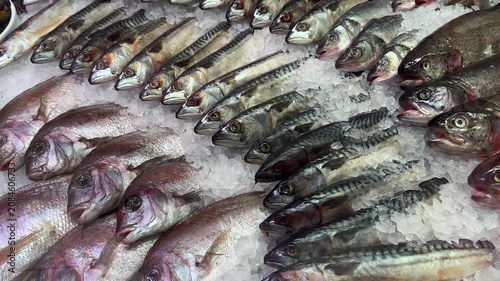 Fresh Seafood Selection Displayed On Crushed Ice At Local Fish Market Counter