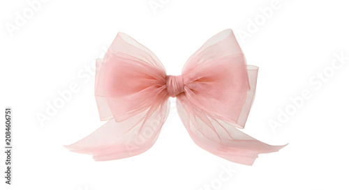Delicate pink tulle bow semi-transparent layers sharp focus elegant fashion asset isolated on solid white background