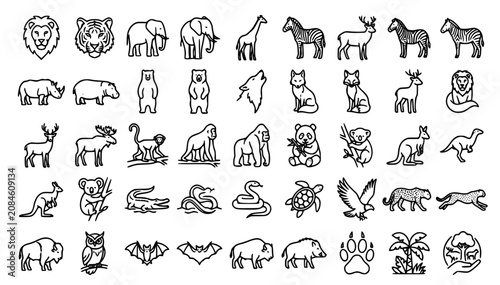 Photography Wild Animals and Safari Zoo Wildlife Outline Icon Set
