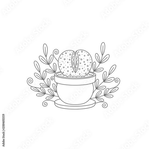Hand drawn line art illustration of a lithops succulent plant in a pot with decorative leaves.