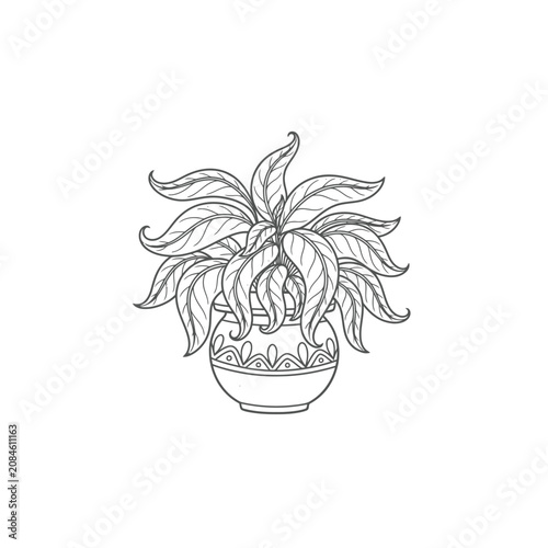 Hand drawn line art illustration of a potted houseplant with decorative leaves and patterned planter pot.