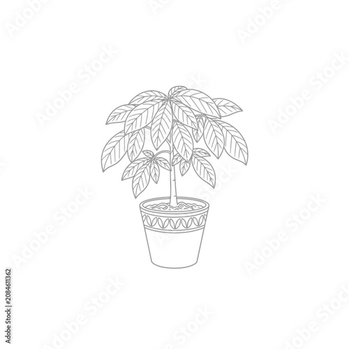 Hand drawn line art illustration of a potted houseplant with lush leaves.