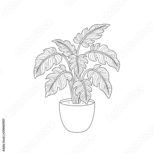 Hand drawn line art illustration of a tropical potted plant with large leaves in a ceramic pot.